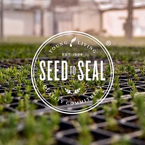 Young Living Tea Tree Premium Essential Oil - 15ml - Aromatherapy Diffuser - Skin Care for Skin & Nails - Healthy Hair and Scalp - 100% Pure & Natural