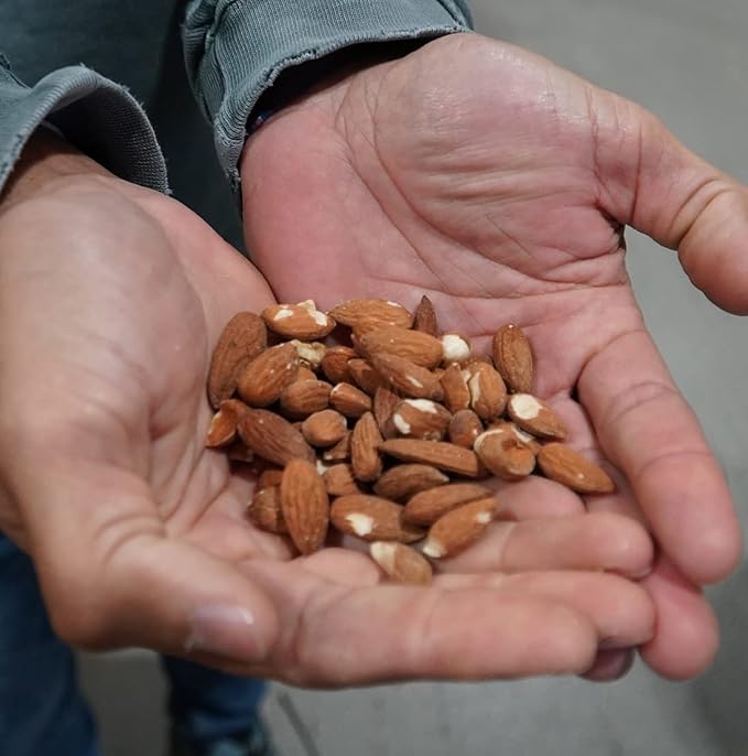 Sweet Almond Oil - for Skin and Hair - Carrier Oil for Essential Oils Mixing - From EIR Oils' Farm in Mallorca, Spain - 1 Gallon