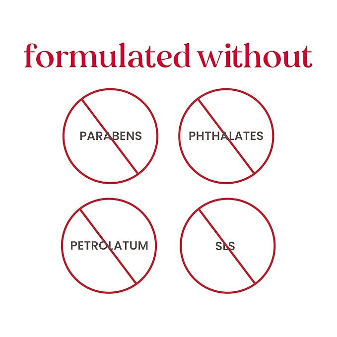 Burt's Bees Gentle Skin Care To-Go Set, Includes Cleanser, Towelettes, Lotion and Sheet Mask, Travel Size Facial Skin Care Products for Sensitive Skin, Natural Origin, 1 Gift Set