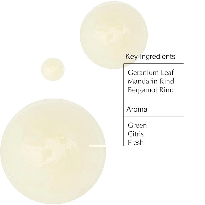 Aesop Geranium Leaf Body Cleanser | For All Skin Types To Cleanse Without Drying Out | Geranium Leaf, Mandarin Rind, Bergamot Rind | 16.9 oz / 500mL