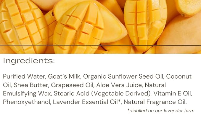 LAVENDER LANE Mango Lavender Hand & Body Lotion, 9 oz