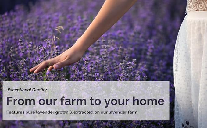 LAVENDER LANE Lavender Goat's Milk Hand & Body Lotion, 9 oz - USA Lavender Farm, Free Sachet Included, Organic Shea Butter, Organic Sunflower Oil.