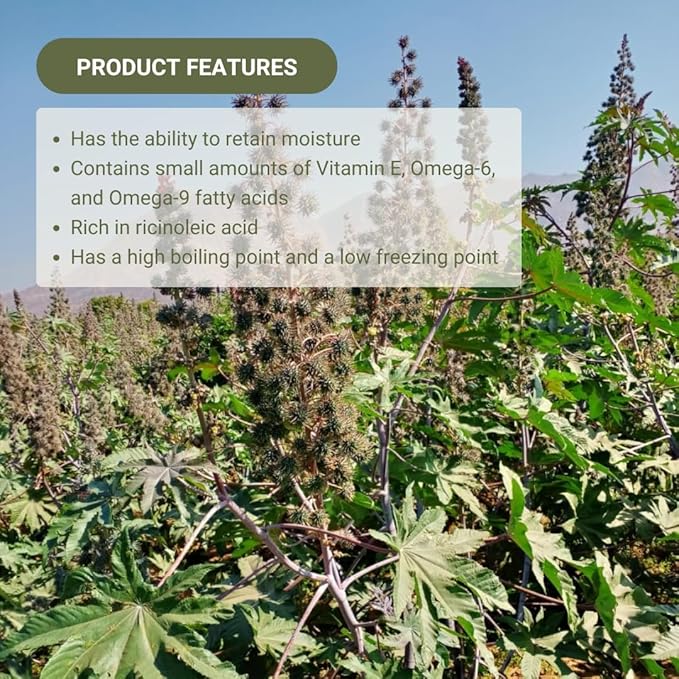 Organic Castor Oil Direct From India - Cold Pressed Castor Oil For Face - Hexane Free (4 Gallons)