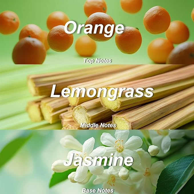 Vassili Fragrance Body Wash - Long-Lasting Aroma with Orange Blossom, Green Tea & Citrus, Hydrating & Moisturizing Formula, Gentle for All Skin Types,12.3 Fl Oz（Mystic Mist）