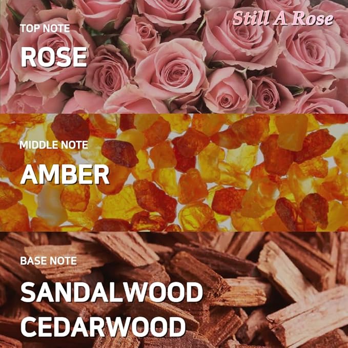 Hersteller Nearby Still A Rose Vegan Body Lotion 10.1 fl oz - Zero-Irritation Eco-Ceramide Formula with 100% Recyclable Packaging, Non-Sticky Moisturizing