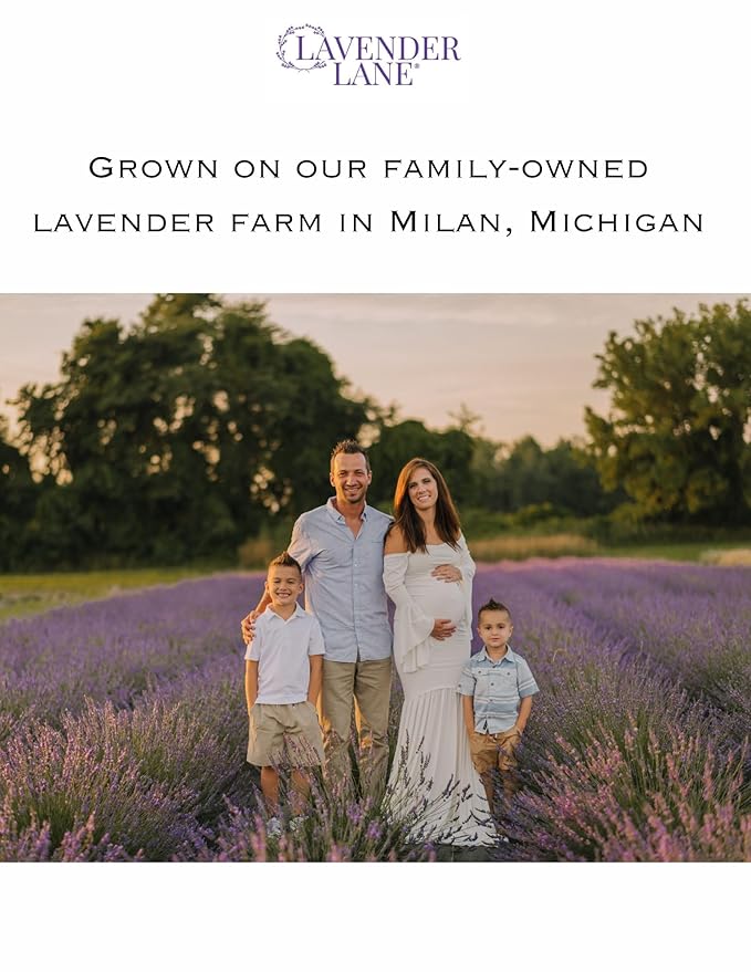 LAVENDER LANE Cashmere Plum Hand & Body Lotion, 9 oz - Made With Our Lavender Essential Oil, Goat's Milk, Moisturizing Shea Butter, Grown & Made in USA