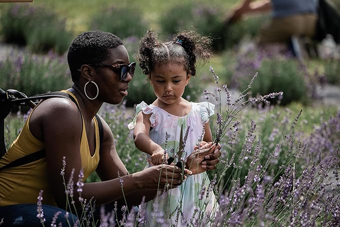LAVENDER LANE Lavender Latte Hand & Body Lotion, 9 oz - Farm Distilled, Lavender Essential Oil, Natural Coffee Extract, Made in USA