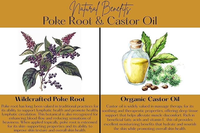 Poke Root & Castor Oil Salve -2oz- Cysts, Boils, Fibroids, Swollen Lymph Nodes, Breast & Joint - Vegan Lymphatic Support Massage Balm - Natural Deep Tissue Ointment