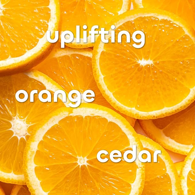 Seaweed Bath Co. Detox Body Wash, Orange Cedar Scent, 12 Ounce (Pack of 2), Shower Gel for Men & Women, Vegan, Paraben Free, Sulfate Free, Cruelty Free