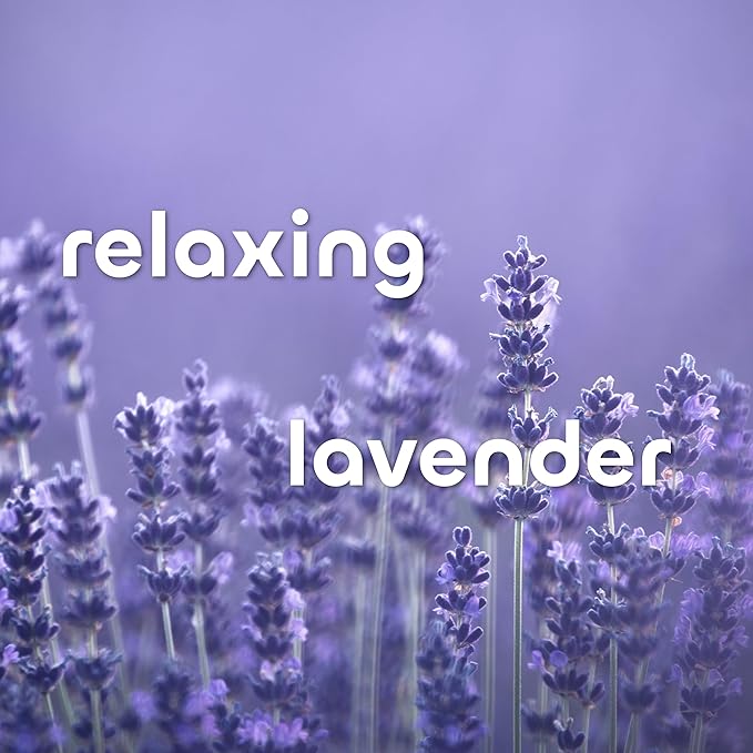 Seaweed Bath Co. Hydrate Body Cream, Lavender Scent, 6 Ounce, Nourishing Hand & Body Lotion Moisturizer for Dry Skin, with Sustainably Harvested Seaweed, Kukui Oil, Hyaluronic Acid, Shea Butter